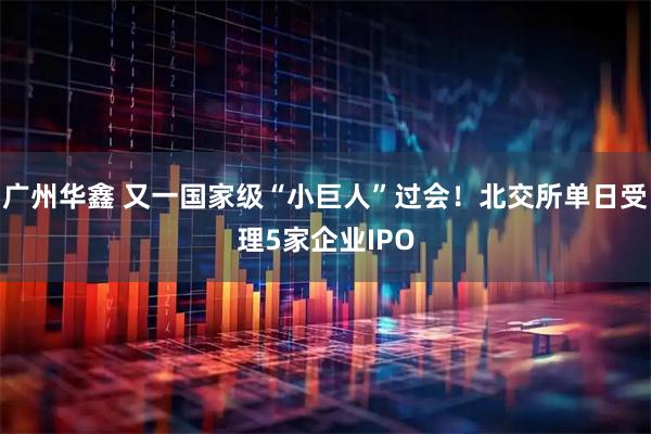 广州华鑫 又一国家级“小巨人”过会！北交所单日受理5家企业IPO