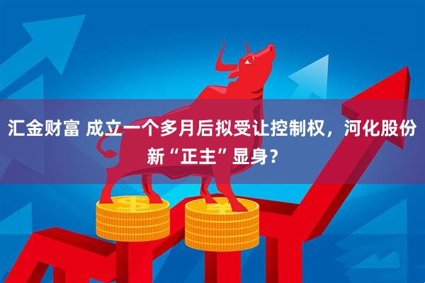 汇金财富 成立一个多月后拟受让控制权，河化股份新“正主”显身？