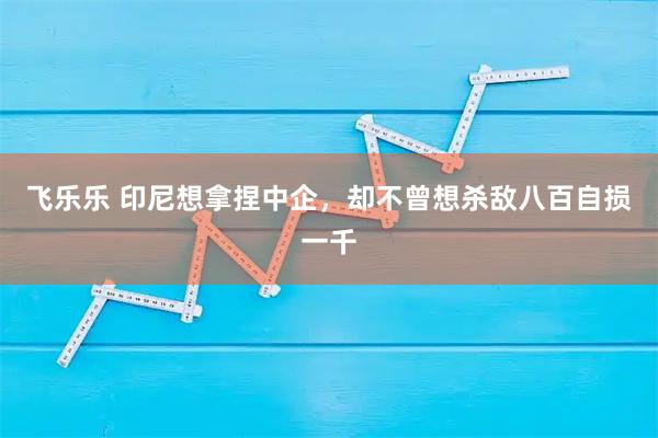 飞乐乐 印尼想拿捏中企,却不曾想杀敌八百自损一千